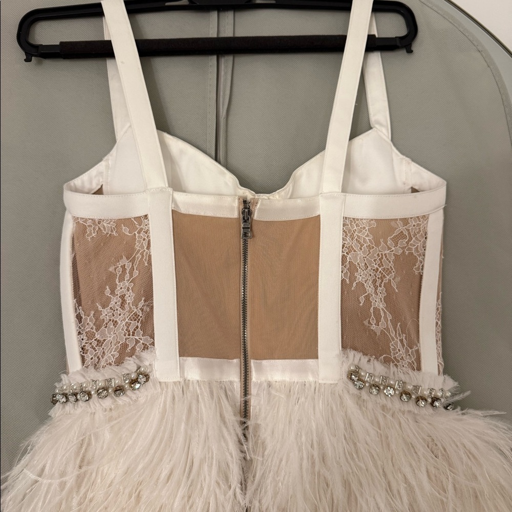 NEVER WORN Alicia & Olivia Shia Sheer Bustier Feather Dress - Picture 6 of 8